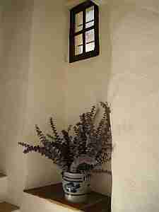 Fenster-Info