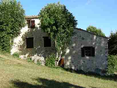 Home_409x307